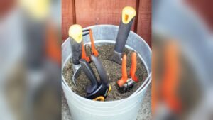 How Do I Disinfect My Garden Tools