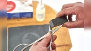 How to Clean Bonsai Tools?