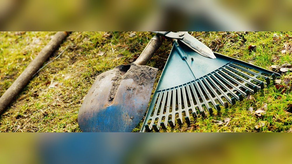 How to Clean Garden Tools for Winter