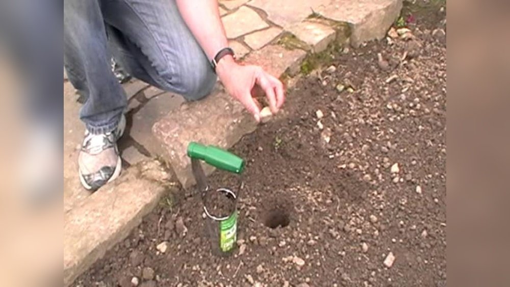 How to Use a Bulb Planter
