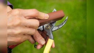 Where to Get Garden Tools Sharpened