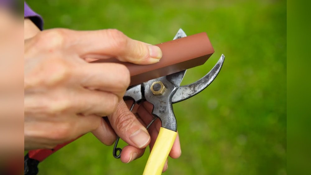 Where to Get Garden Tools Sharpened